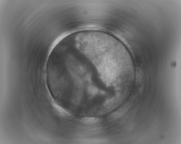 X0000089911474200707201745