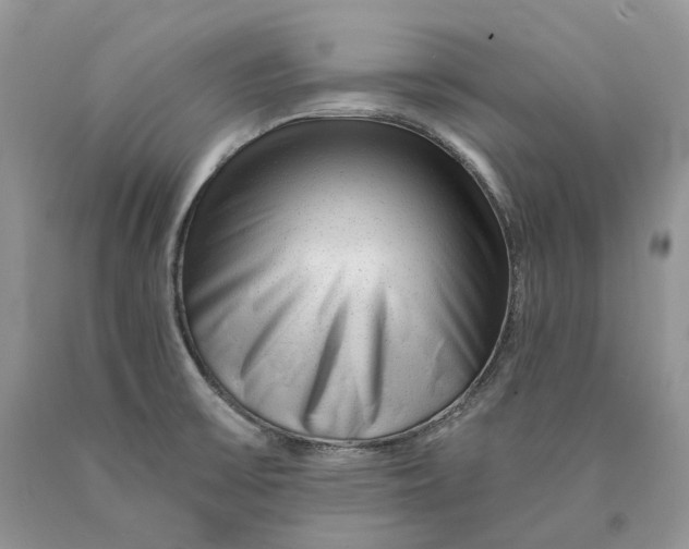 X0000089911475200707201745