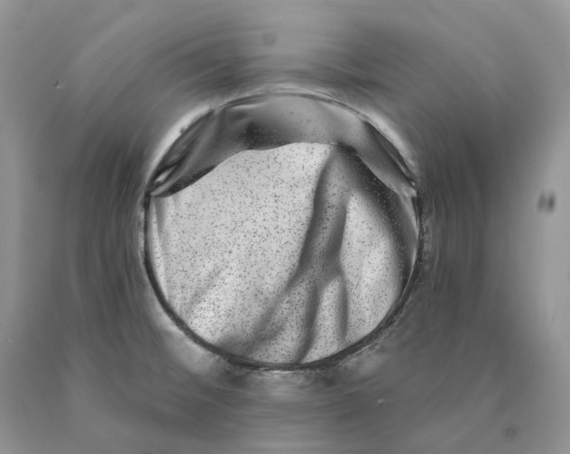 X0000089911476200707201745