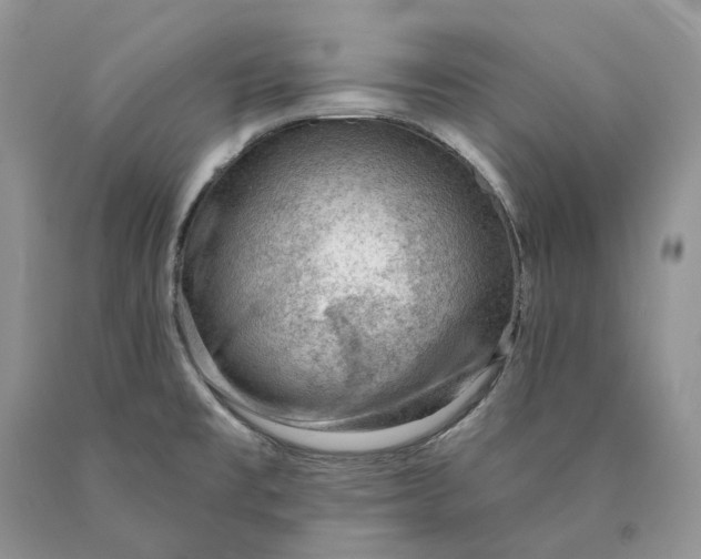X0000089911477200707201745