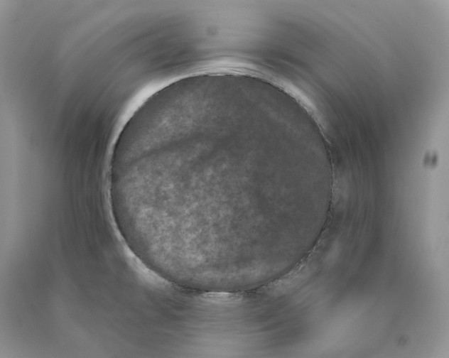 X0000089911478200707201745