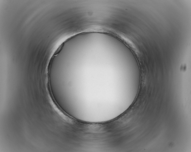 X0000089911479200707201745