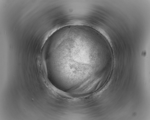 X0000089911481200707201745