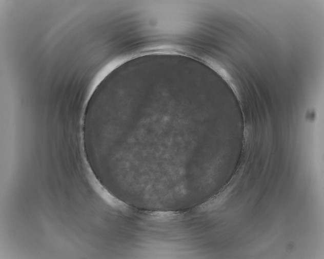 X0000089911482200707201745