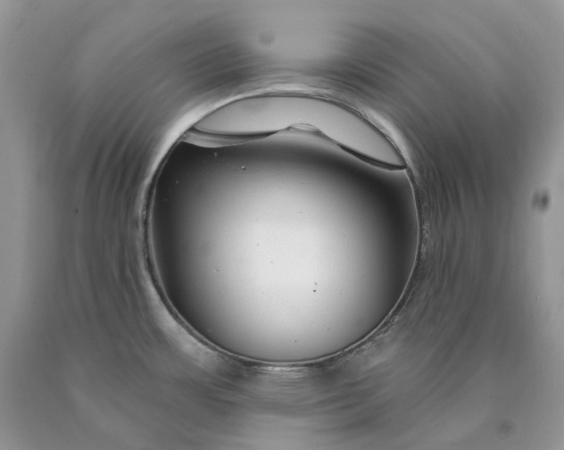 X0000089911483200707201745