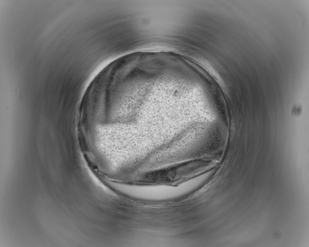 X0000089911484200707201745