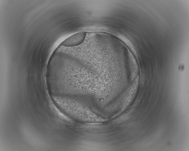 X0000089911486200707201745