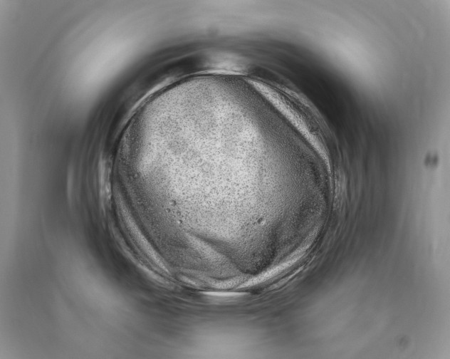 X0000089911487200707201744