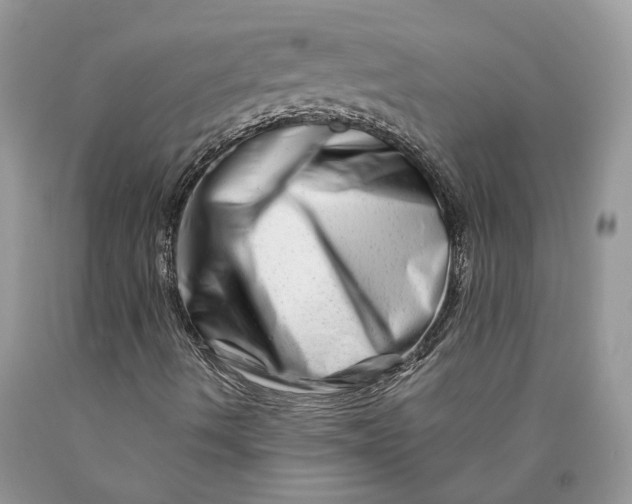 X0000089911490200707201743