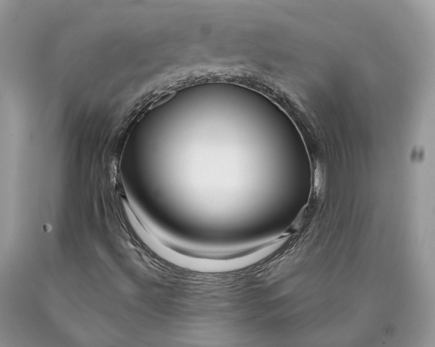 X0000089911492200707201744