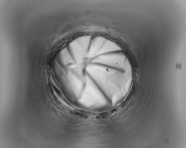 X0000089911493200707201744