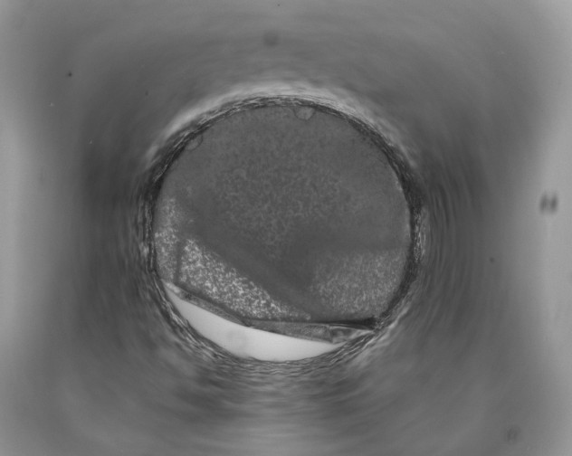 X0000089911494200707201744