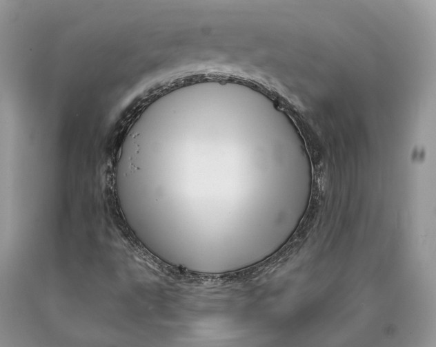 X0000089911495200707201744