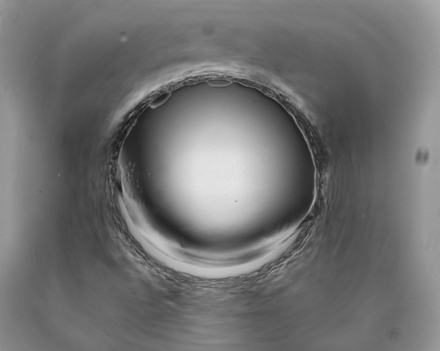 X0000089911496200707201744