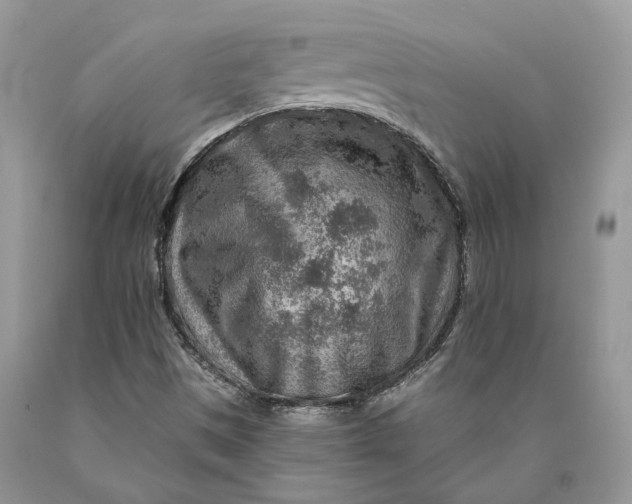 X0000089911497200707201744