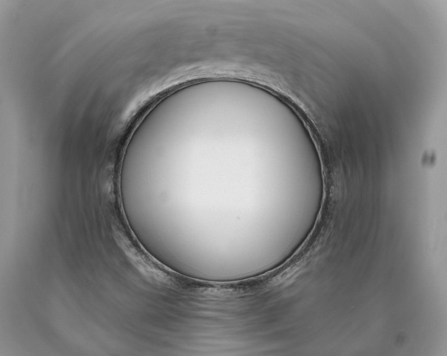 X0000089911499200707201744