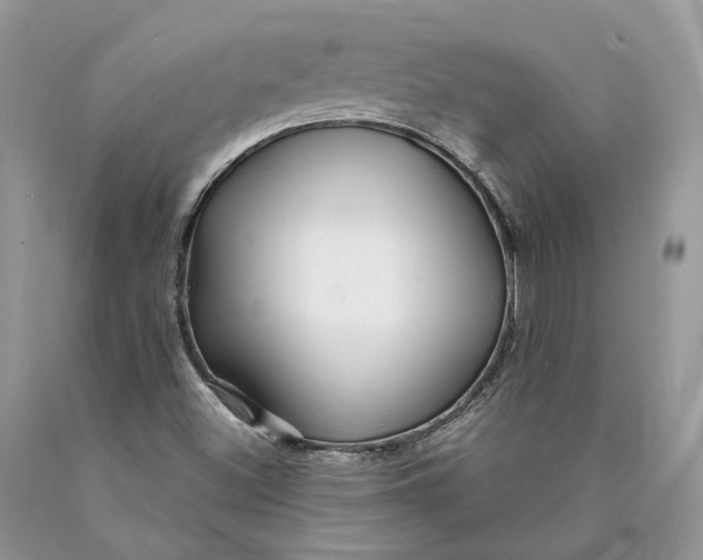 X0000089911500200707201744