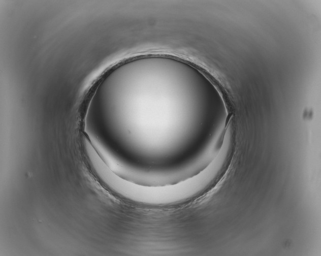 X0000089911502200707201744