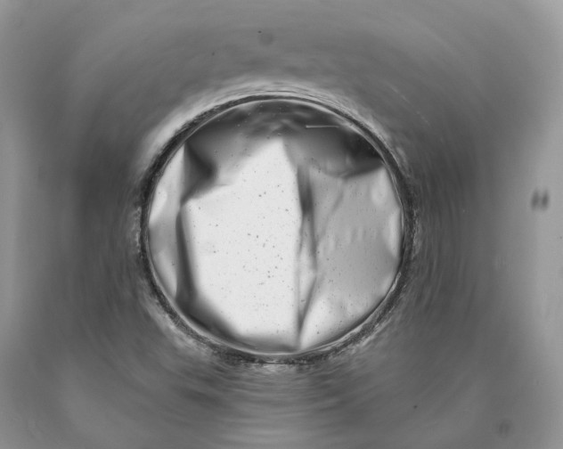 X0000089911503200707201744