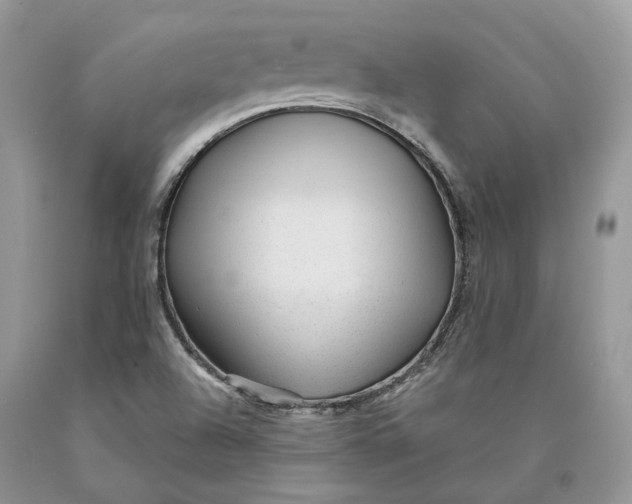 X0000089911504200707201744