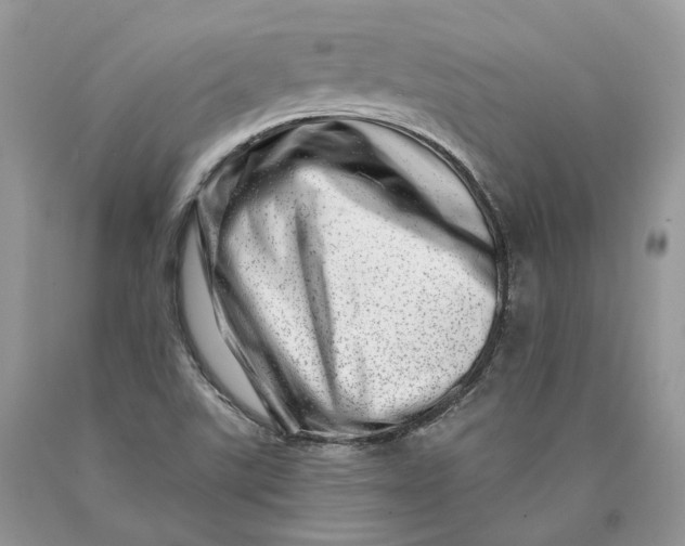 X0000089911507200707201744