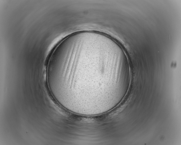X0000089911509200707201744