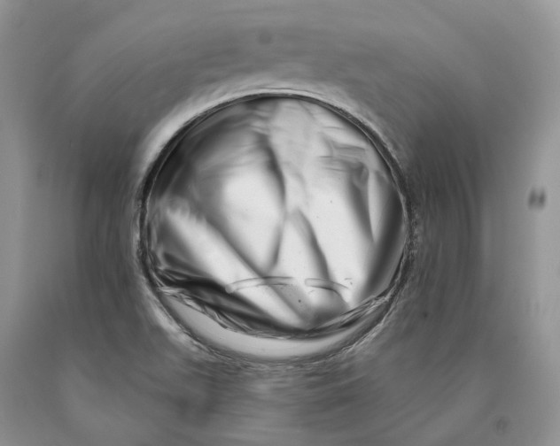X0000089911511200707201744