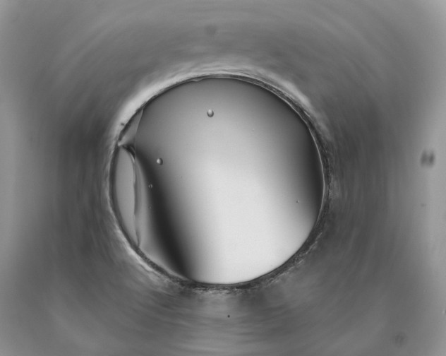 X0000089911512200707201744