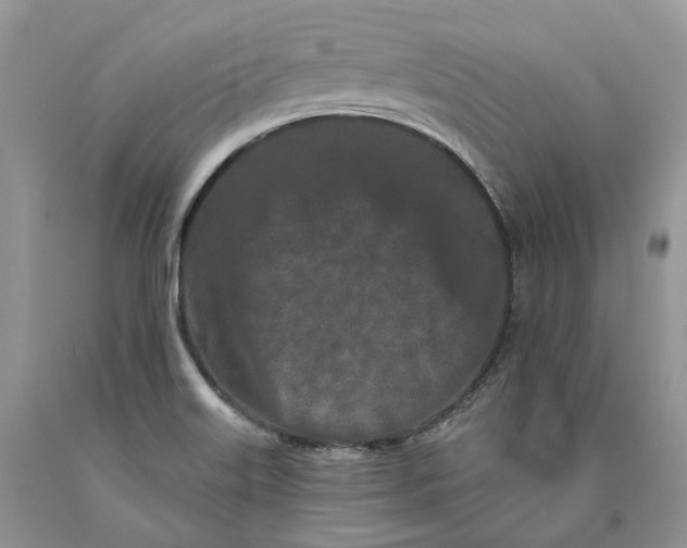 X0000089911515200707201744