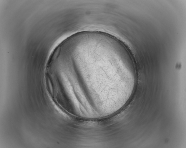 X0000089911517200707201744