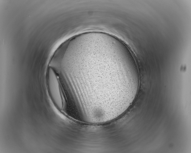 X0000089911519200707201744