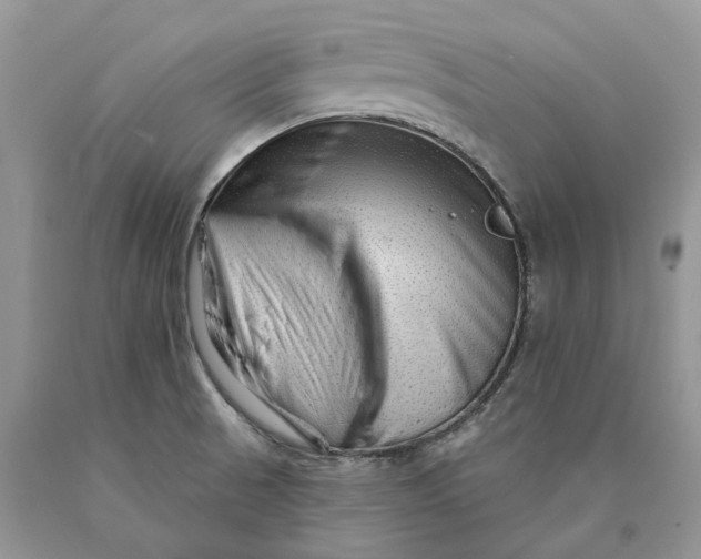 X0000089911521200707201744