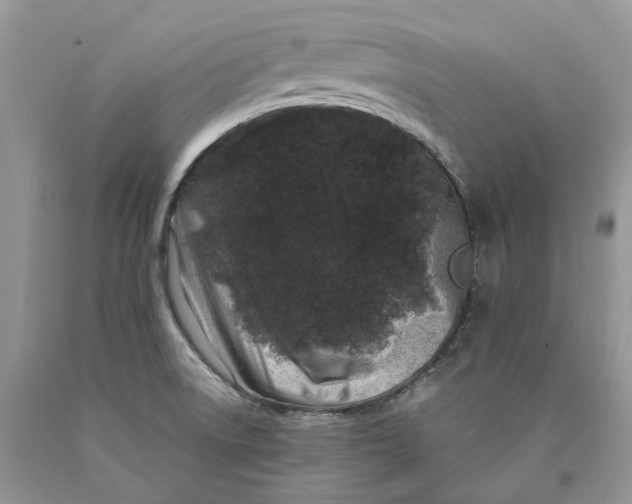 X0000089911522200707201744