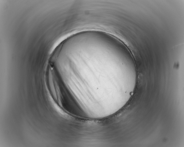 X0000089911523200707201744