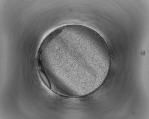 X0000089911527200707201744