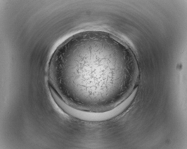 X0000089911528200707201744