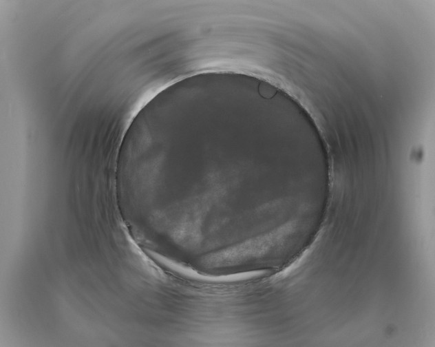 X0000089911529200707201744