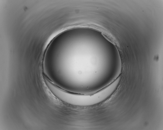 X0000089911530200707201744
