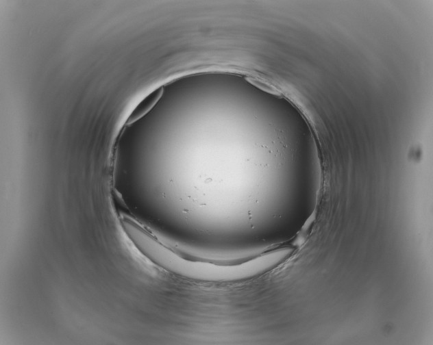 X0000089911532200707201744
