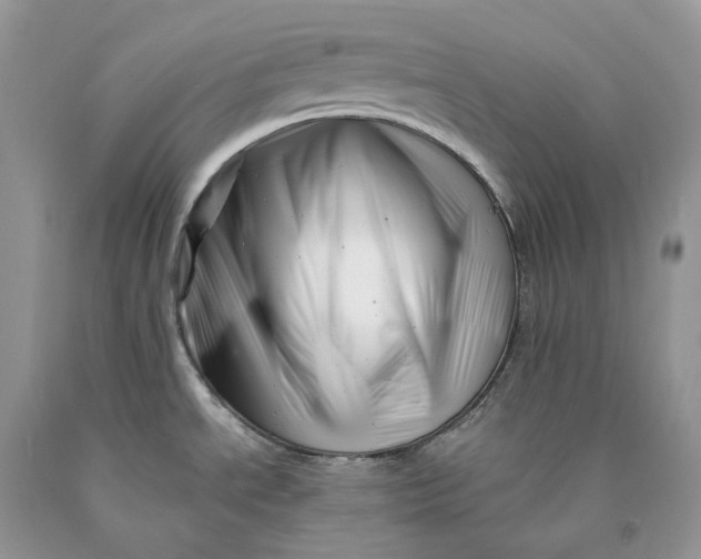 X0000089911534200707201744