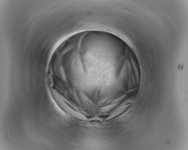 X0000089911536200707201744