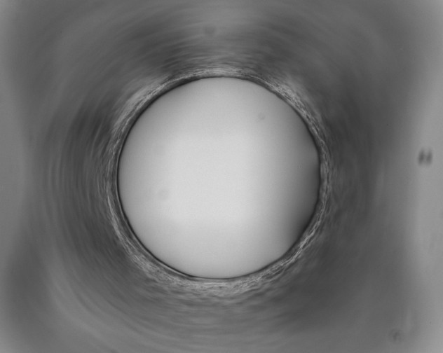 X0000089910001200707271724