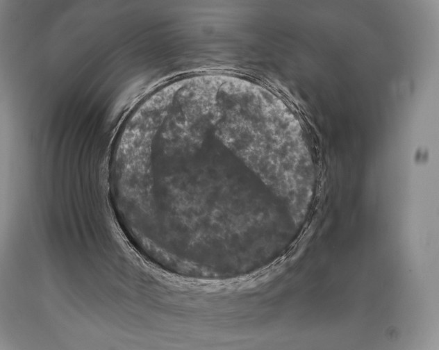 X0000089910002200707271724