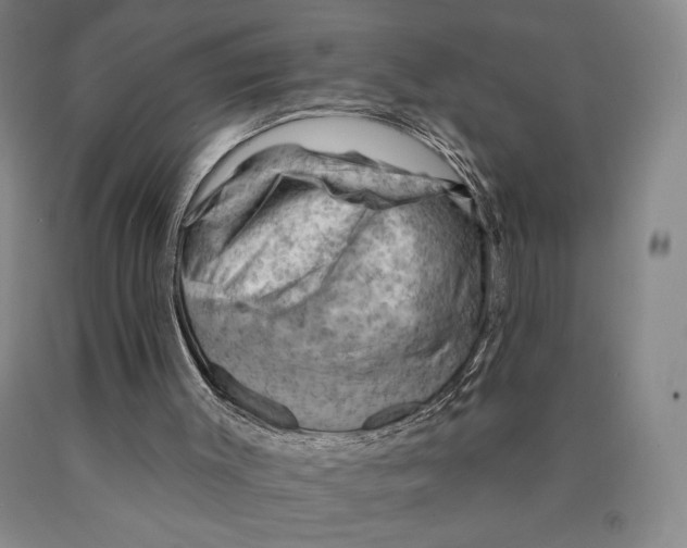 X0000089910003200707271724