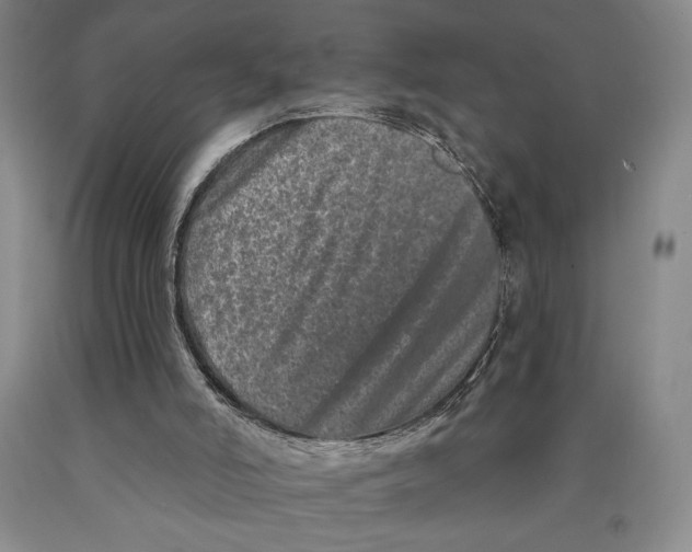 X0000089910006200707271724