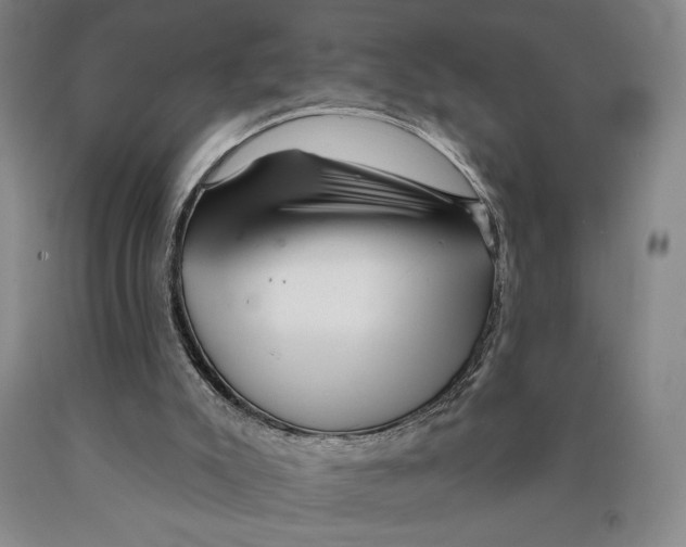 X0000089910007200707271724