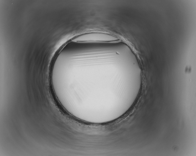 X0000089910008200707271724