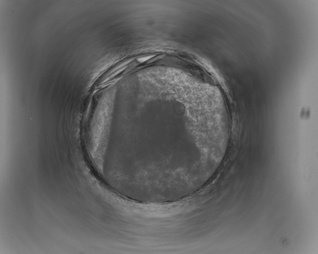 X0000089910010200707271724