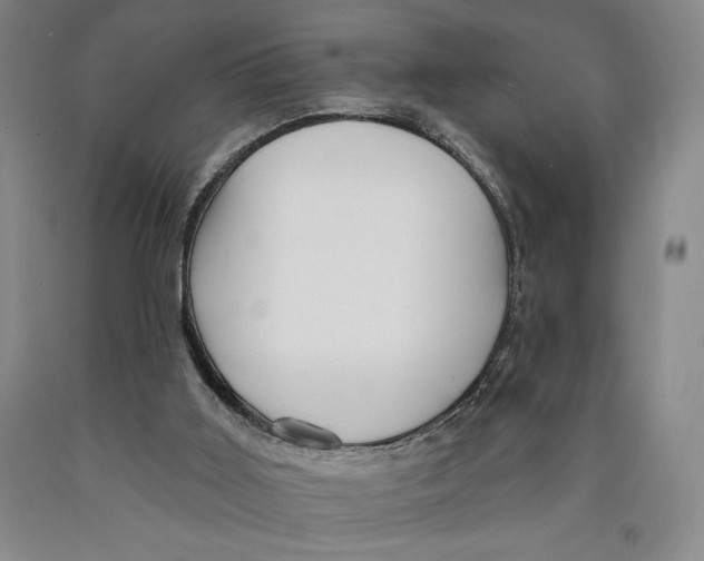 X0000089910011200707271724