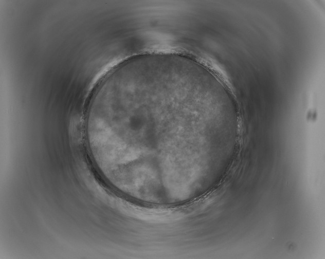 X0000089910012200707271724